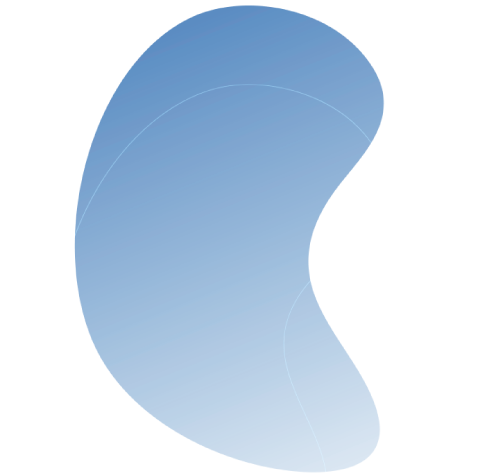 https://novaseguroscol.com/wp-content/uploads/2024/05/figura3ll.png