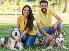 https://novaseguroscol.com/wp-content/uploads/2024/05/mascotas.jpg